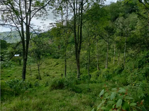 Vendo Finca Reventones Anolaima