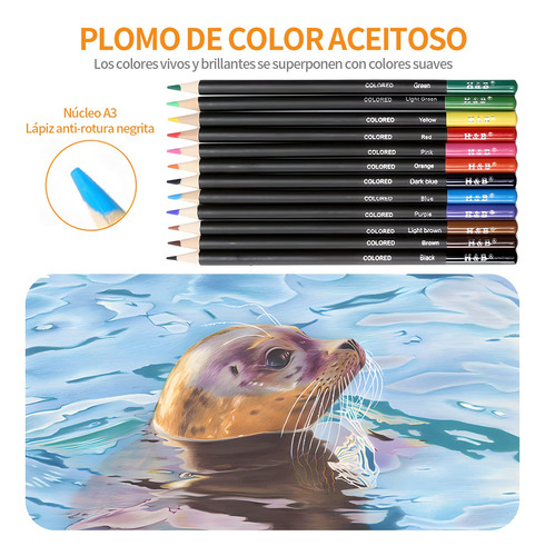 Ruiao 72 Piezas Kit De Lápices De Dibujo Arte Dibujo