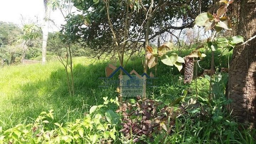 Imagem 3 de 15 de Terreno Em Área Privilegiada E De Fácil Acesso! - 131