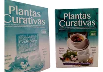 Comprar Las Plantas Y Sus Propiedades Curativas- Plantas Medicinales