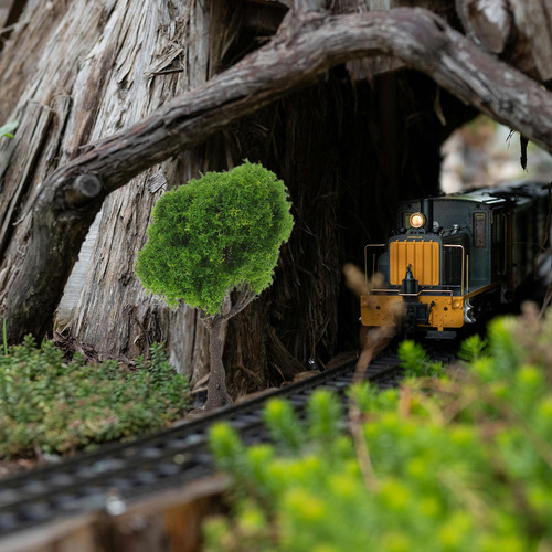 Árboles En Miniatura Para Maquetas Plantas En Miniatura Mode