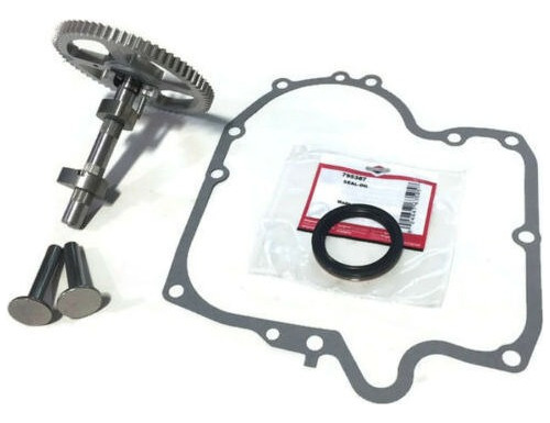 Eje De Levas P Para Briggs & Stratton 793880 793583 2681