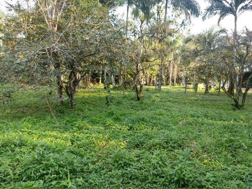 Imagem 9 de 15 de Charmosa Chácara Localizada Na Vila Das Palmeiras - Preço Imperdível - Ch0139