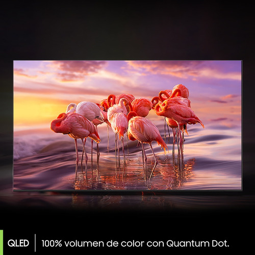Smart Tv Samsung Qled Qn65q65bagczb 4k 65 100v/240v