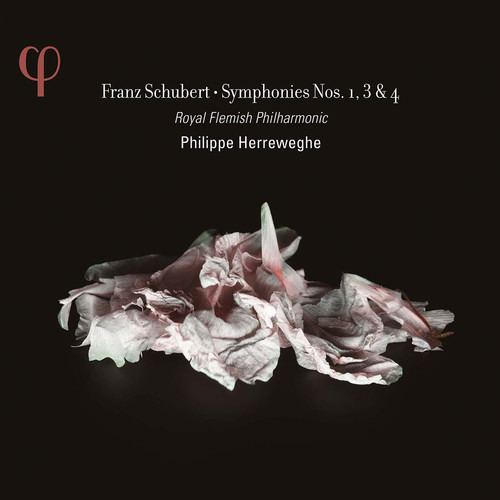 Schubert//real Filarmónica Flamenca Schubert: Symphonie Cd
