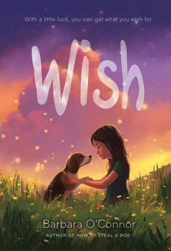 Wish: Wish, De Barbara O'nor. Editorial Square Fish, Tapa Blanda, Edición 2017 En Inglés, 2017