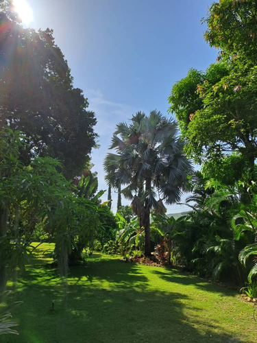 Bienvenido A Tu Refugio De Ensueño En Cumaná, Donde El Lujo Se Encuentra Con La Naturaleza