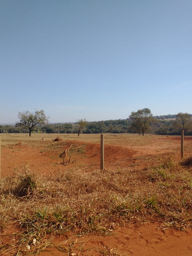 Imagem 8 de 13 de Fazenda Para Pecuária A Venda Na Região De Itapagipe / Campina Verde-mg, Com 57,5 Alqueirao, Benfeitorias Completas, Rio E Represa - Fa00395 - 70075361