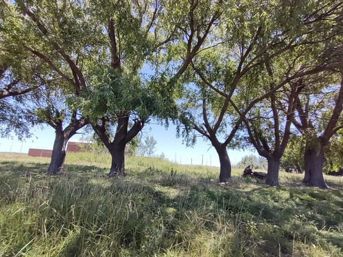 Gran Loteo En San Bernardo, Sobre Colectora!