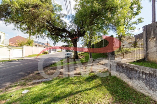 Imagem 4 de 30 de Terreno Em Barreirinha, Curitiba, Paraná - Te00033 - 33491718