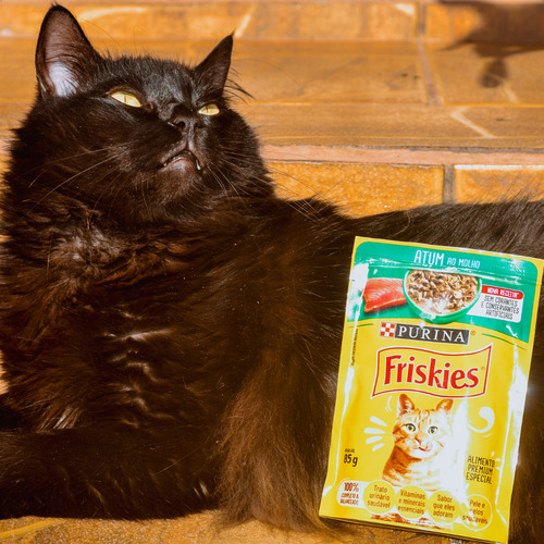 Kit 30 Friskies Sachês 2 Sabores - Atum E Peixe Branco