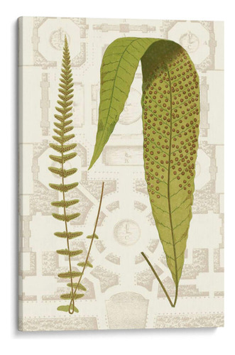 Canvas Lab Cuadro Harkers Iii 70x105, Vision Studio