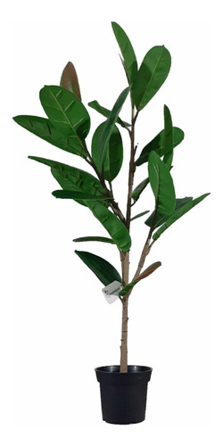 Planta Ficus Elástica// Gomero Artificial 96 Cm Con Maceta