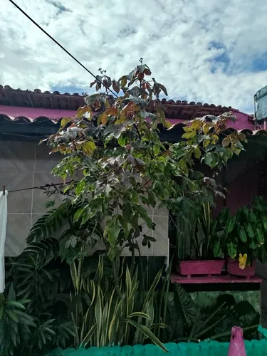 Motel Casa Nossa
