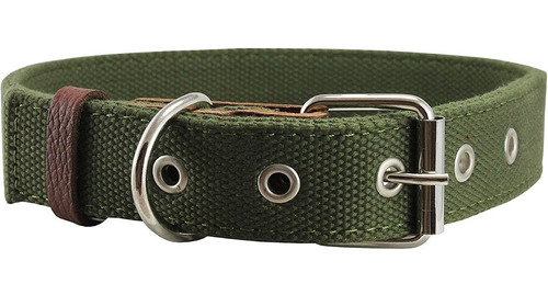 Heavy Duty Algodon Web Perro Collar 1.5  Wide. Fits 20 -25.