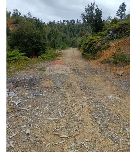 Parcela Con Acceso A Río Y Rol Propio