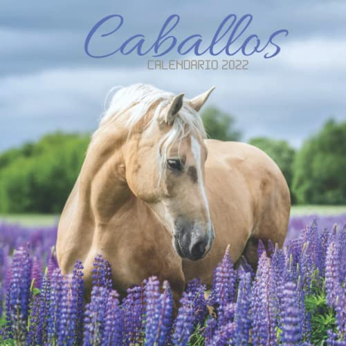 Caballos Calendario 2022: Calendario 2022 8 5''x8 5'' - Rega