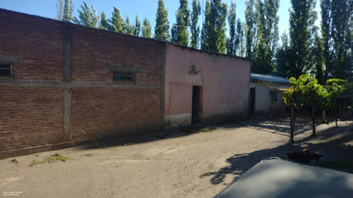 Imagen 5 de 14 de Vendo Finca Cañada Seca San Rafael Mendoza