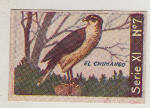 Aves De Rapiña Antigua Figurita El Chimango Album Vintage 
