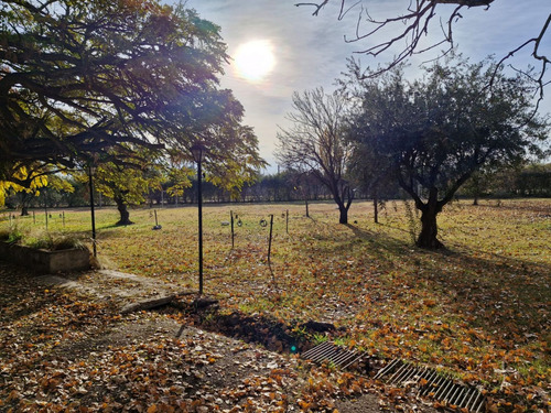 Lotes En Venta En Barrio El Casco, Vistalba, Luján De Cuyo