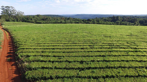 Chacra En Vanta San Vicente Misiones