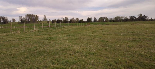Imagen 2 de 11 de Se Vende Terreno Agrícola 1,5 Ha Quema Del Buey, Puyehue,