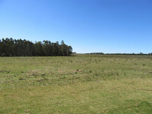 Chacra En Venta En Canelones Ref. 6968