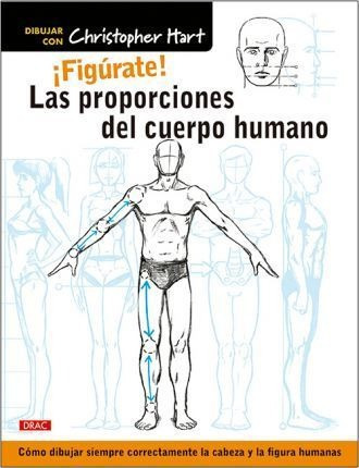 Figrate  Las Proporciones Del Cuerpo Humano  Caqwe