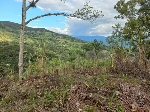 Venta De Lote En Villeta, Vereda Cune