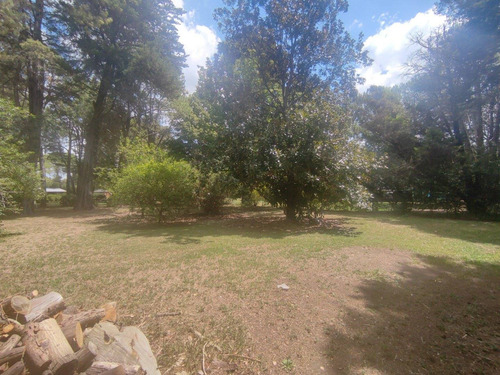 Imagen 7 de 30 de Hermosa Quinta Con Mucha Arboleda Añeja