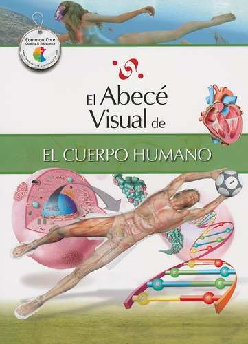 Libro: El Abecé Visual Del Cuerpo Humano (colección Abecé Vi