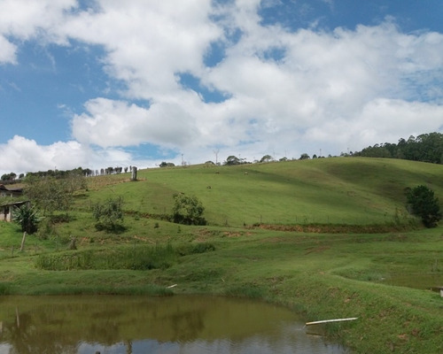 Imagem 4 de 30 de Fazenda Bem Localizada À Venda Em Juquitiba. - 15 - 32982853