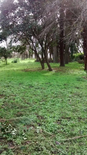 Imagen 15 de 19 de Casa Campo En Venta Ubicado En Fátima, Pilar, G.b.a. Zona Norte