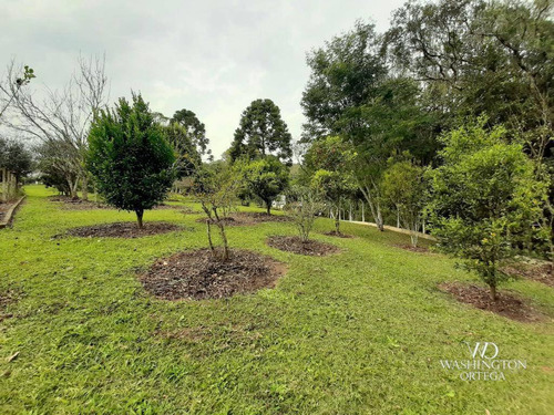 Imagem 24 de 30 de Chácara Com 2 Dormitórios À Venda, 37784 M² Por R$ 660.000,00 - Rio De Una - São José Dos Pinhais/pr - Ch0071