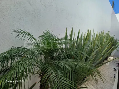 Venta De Casa Nueva, Con Alberca, Amplio Jardín Y 4 Recámaras, Atlixco, Puebla