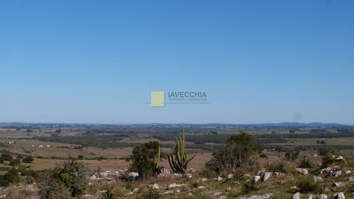 Imagen 12 de 20 de Venta De Campo De 80 Hectáreas Sobre Ruta 39