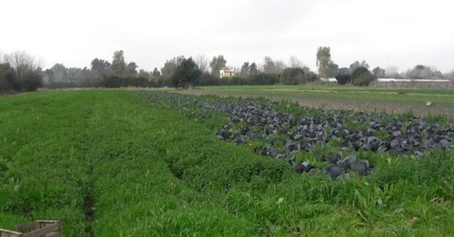 Imagen 3 de 13 de Terreno - Villa Astolfi