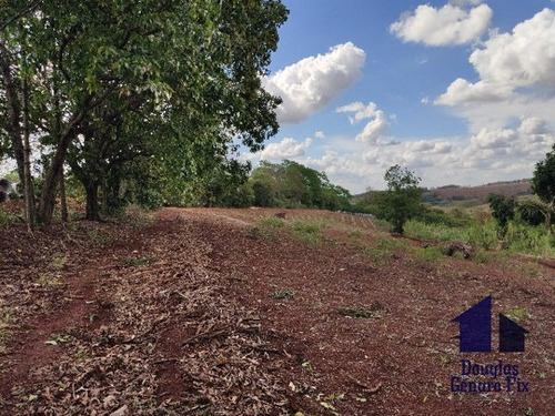 Imagem 11 de 16 de Rural Chacara - 775286-v