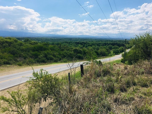 Imagen 17 de 21 de Venta Campo Comercial Sobre Ruta N5 - Villa General Belgrano- Inv0052