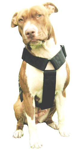 Pretal Pit Bull Super Resistente Pechera Arnes Collar Perro