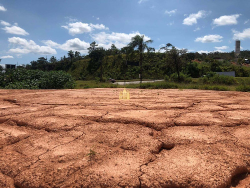 Imagem 7 de 14 de Terreno Na Br-040 - Te00506 - 70736923