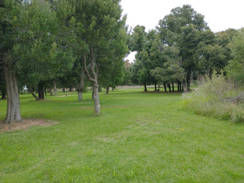 Casa Quinta En Venta En Las Tahonas- Punta Indio
