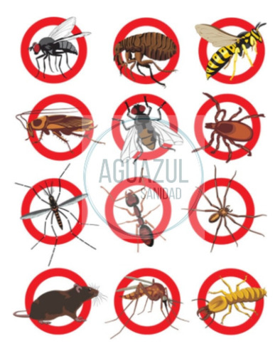 Fumigacion Cucarachas Caba Ratas Pulgas Certificados