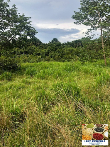 Imagem 3 de 12 de Fazenda À Venda Em Itacajá - T0 - De 230 Alqueirões (dupla Aptidão) - 1620