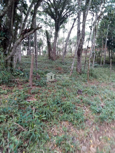 Imagem 15 de 26 de Terreno, Dos Neves (caucaia Do Alto), Cotia - R$ 210 Mil, Cod: 4254 - V4254