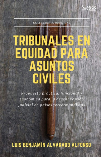 Libro: Tribunales En Equidad Para Asuntos Civiles (spanish