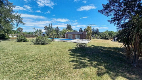 Imagen 4 de 27 de 303 E/50 Y 52 - El Rodeo Quinta C/pileta - Baum Propiedades