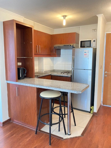 Departamento 1 Dormitorio En Suite Con Gran Terraza
