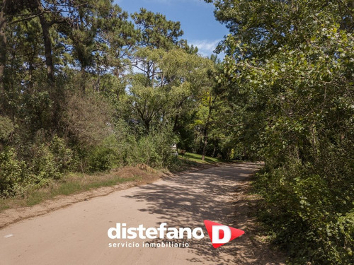 Terreno En Venta En Carilo