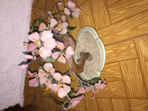 Planta De Flores De Jade Chino